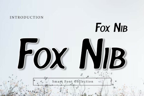 Fox Nib Font Review